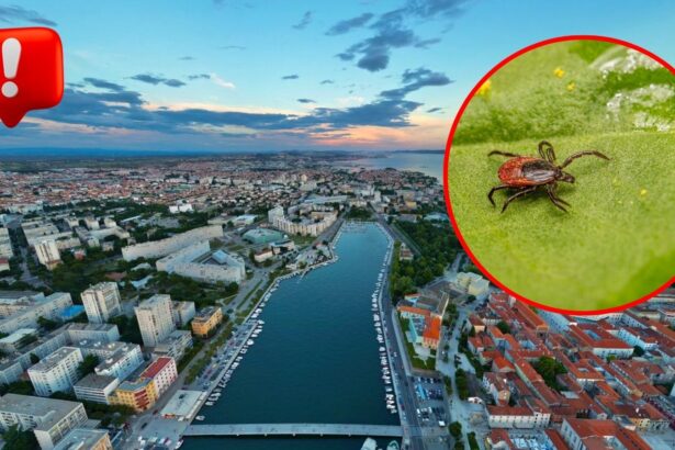 Letecký pohľad na chorvátske pobrežné mesto Zadar s prístavom a morom, doplnený detailom kliešťa upozorňujúcim na zvýšený výskyt kliešťov v severnej Dalmácii počas letnej sezóny.